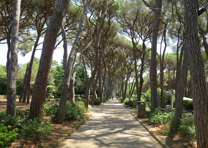 公寓 I Pini By Interhome *